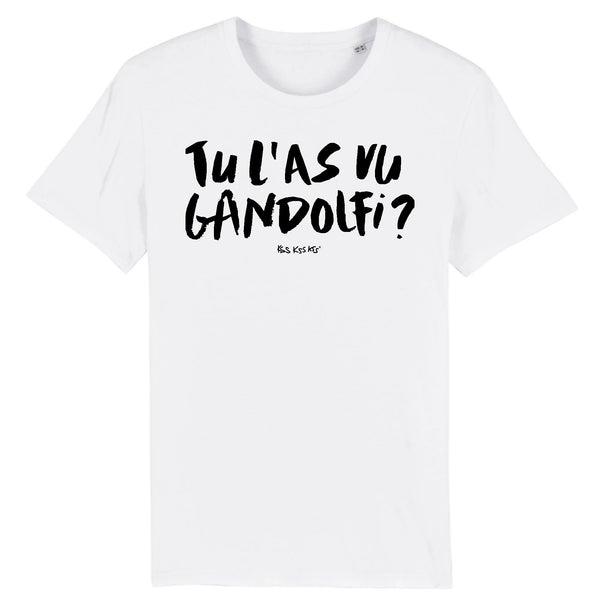 T-Shirt homme GANDOLFI