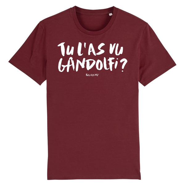 T-Shirt homme GANDOLFI
