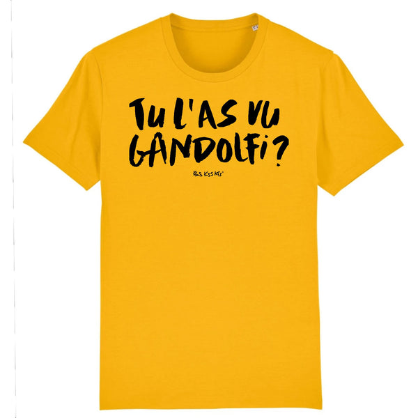 T-Shirt homme GANDOLFI
