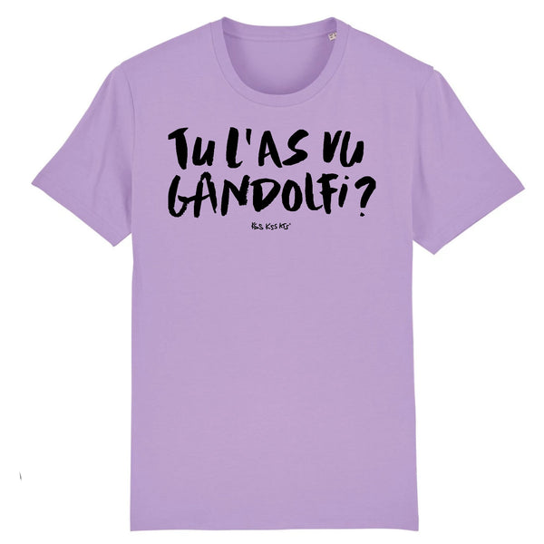 T-Shirt homme GANDOLFI