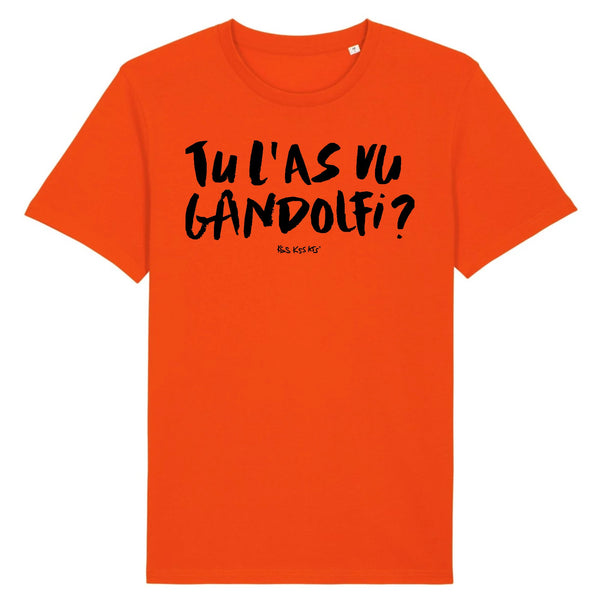 T-Shirt homme GANDOLFI