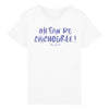 T-Shirt garçon OH FAN DE CHICHOURLE !