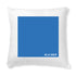 products/kssksskss-la-cigale-Blanc1582359528.jpg