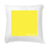 products/kssksskss-la-cigale-Blanc1582359602.jpg
